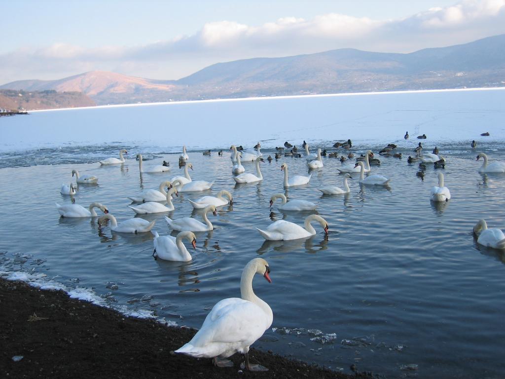 Yabukiso Otel Yamanakako Dış mekan fotoğraf